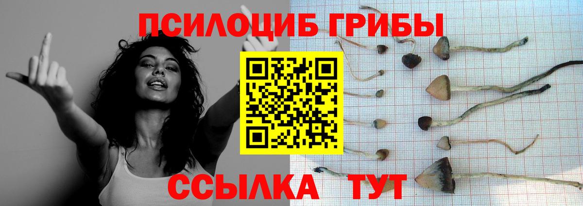 Галлюциногенные грибы мицелий  Вход с VPN  Галлюциногенные грибы мицелий  Орск 